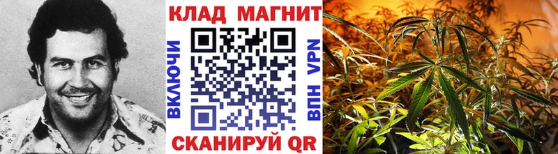 Купить закладку Cocaine APVP АМФ Меф мяу мяу ГАШ Гремячинск