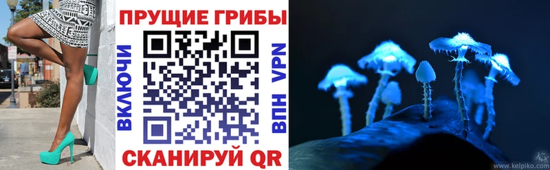 Купить Гремячинск Псилоцибиновые грибы Magic Shrooms